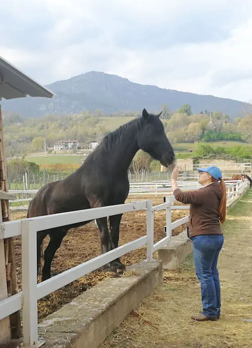 Sophie avec Arrow, son cheval irlandais