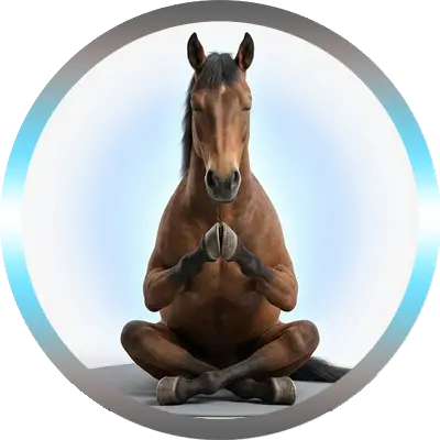 Illustration d’un cheval zen en position de lotus