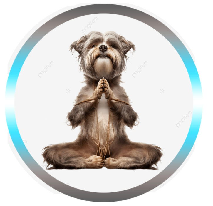 reiki animalier